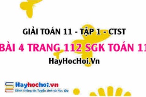 Giải bài 4 trang 112 Toán 11 tập 1 SGK Chân trời sáng tạo
